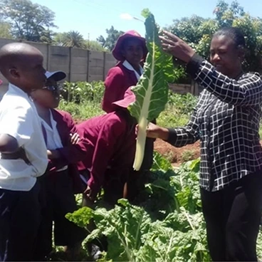 Centenary School Agriculture Lesson