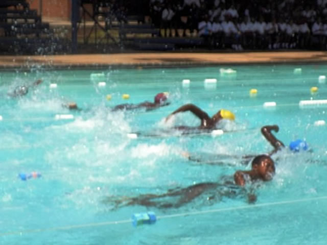centenary school swimmers shine in mutare