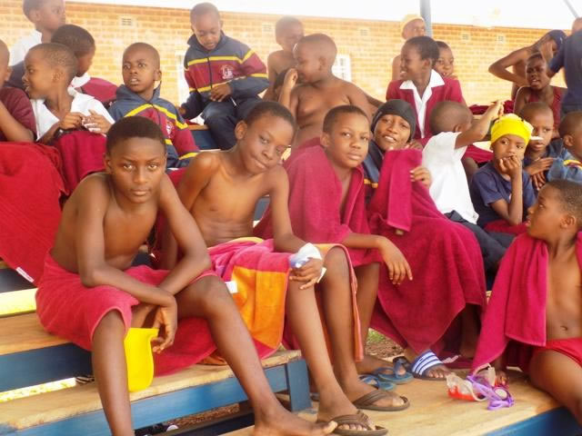 centenary primary school interhouse swimming gala